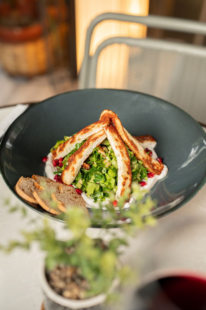 Delicious grilled halloumi salad with herbs and pomegranate, perfect for fine dining.